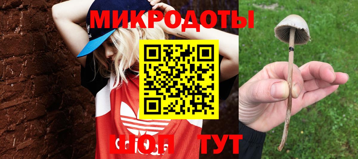 Псилоцибиновые грибы MAGIC MUSHROOMS Дюртюли